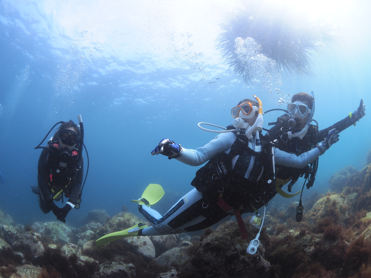 CmKł͐tɓ̊CւAꂵ܂BC͉̒CO][ĝ悤ɐRłāAKȂ_CrOył܂B