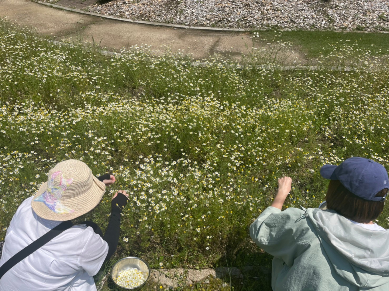 �J���~�[���̍���ɖ�����Ȃ���E�ݎ�肪�o���܂�