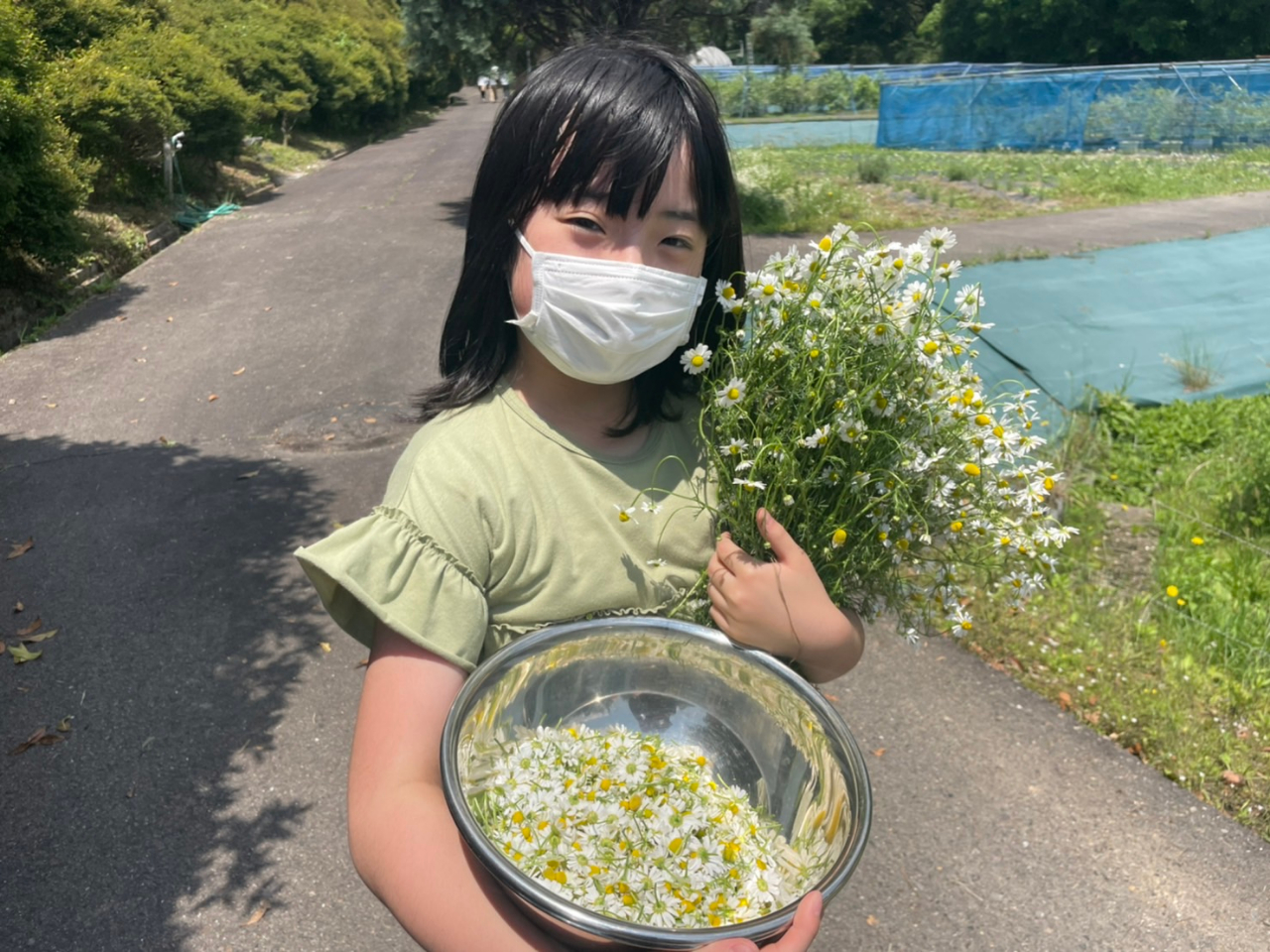 �J���~�[���͔��Ɖ��F�̉��炵�����ԂȂ̂ł��q���܂ɂ��l�C�ł�