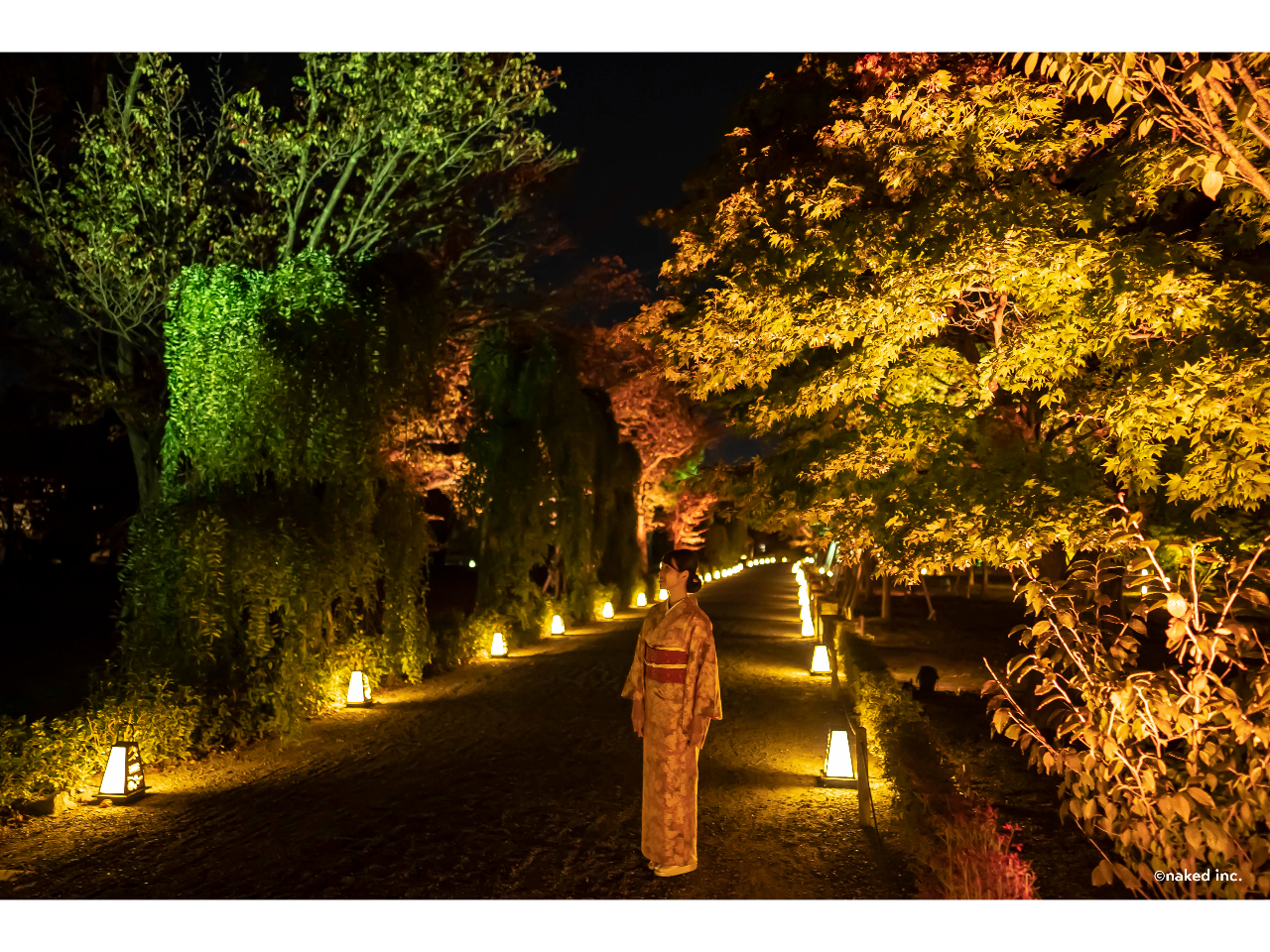 c naked Inc.@ʐ^̓C[Wł