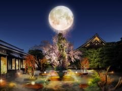 c naked Inc. ※写真はイメージです