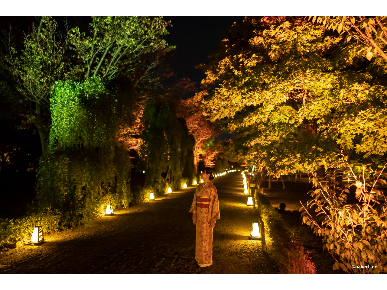 c naked Inc. ※写真はイメージです