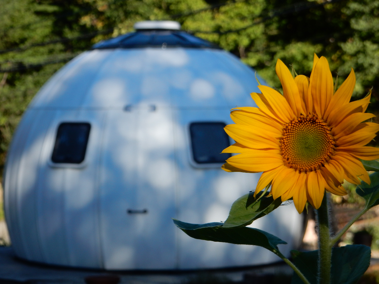 【札幌/Camp】イージードーム付きプラン!札幌駅から20分のマウンテンビュー施...