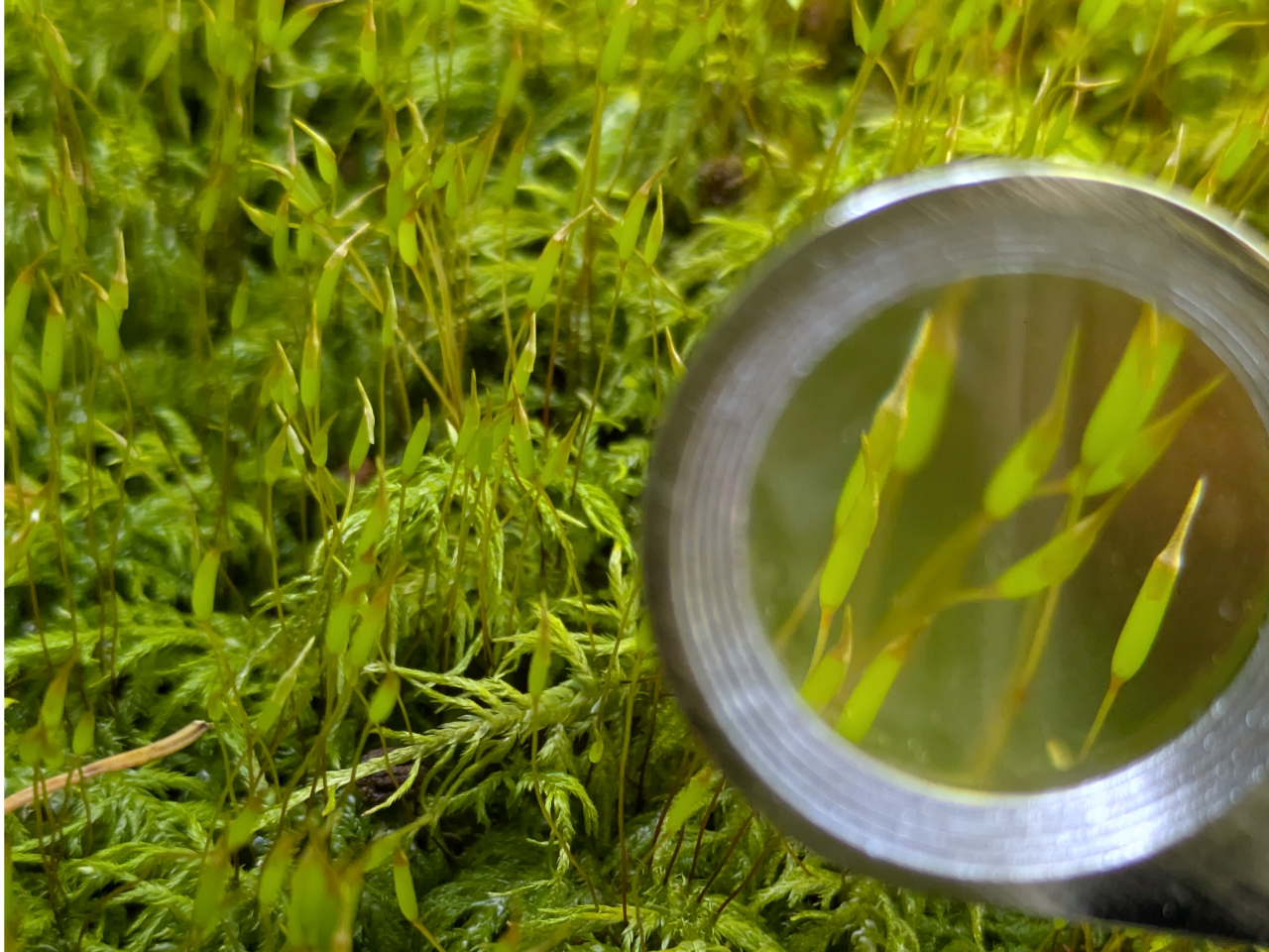 ���[�y�ł̂���