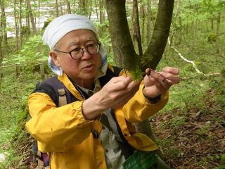 著書多数 秋山弘之先生と苔の魅力を楽しもう!