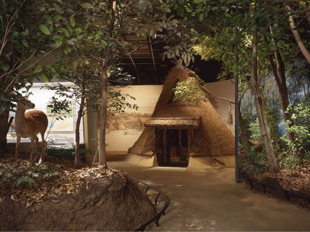 歴史展示室(竪穴住居)