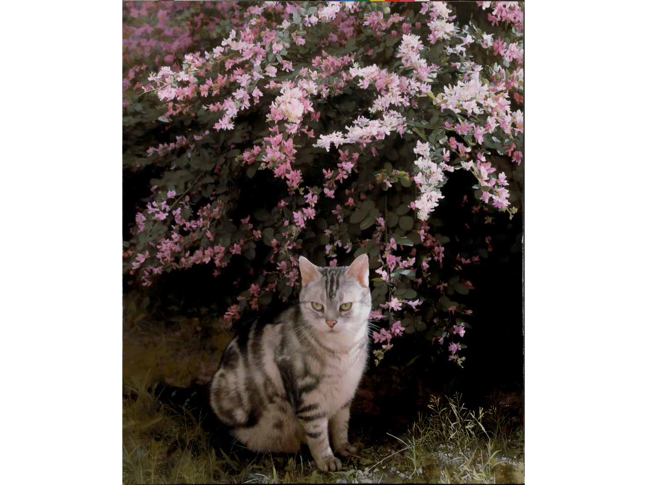 �����G��u���ƔL�v2009