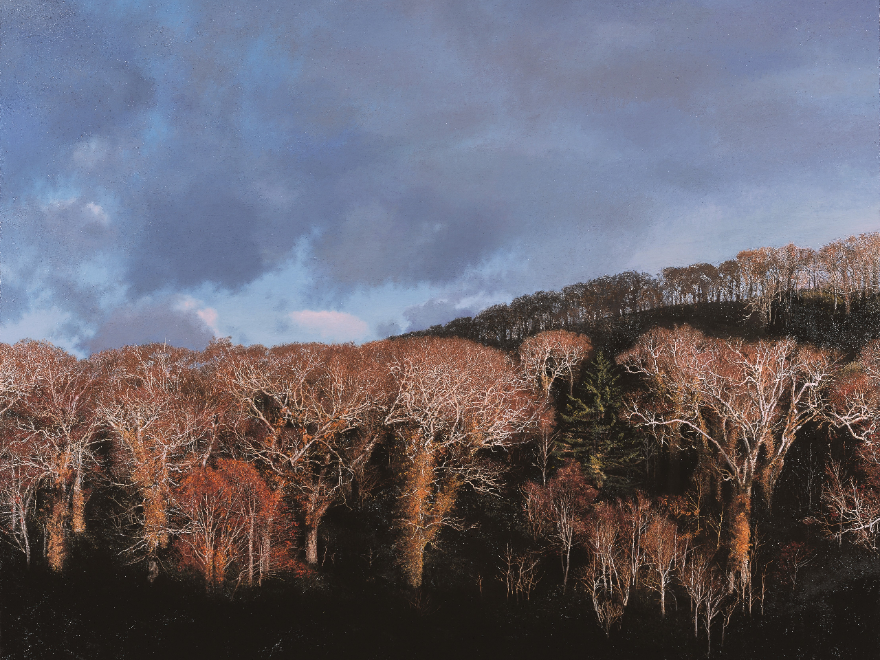 ��c�O�u�u�I���t�����v2010