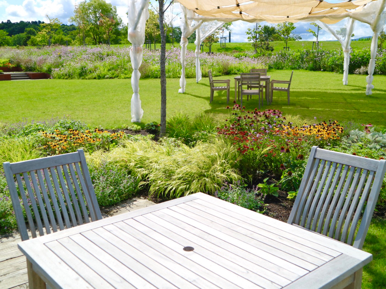 ЂkʓsK[f̃n[úACLCLƂč肪LB