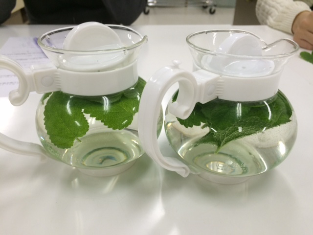 �t���b�V���n�[�u�e�B�[