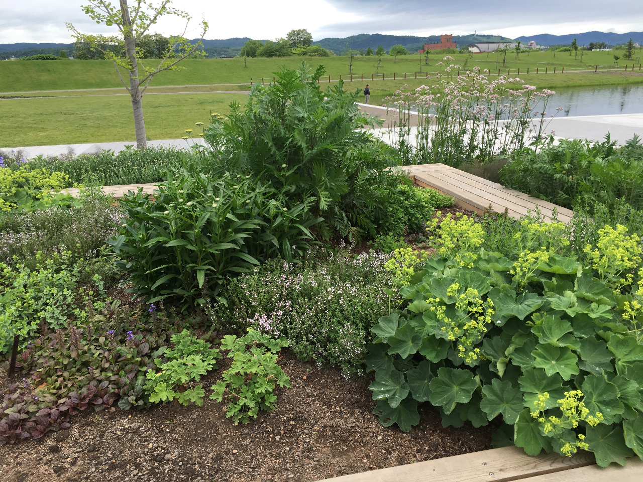 �����Ђ���k�ʓs�K�[�f��