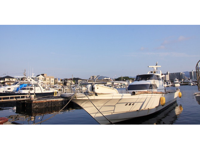 【初心者大歓迎!!】大鯛釣るなら木鶏丸!一年を通じてマダイ釣りへ♪活きエビを使っ...