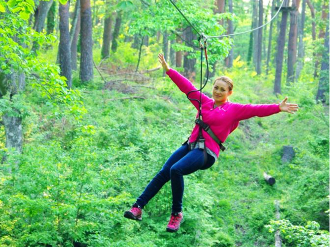 ̌Ԃ30قǁBCyɗVׂ̌I