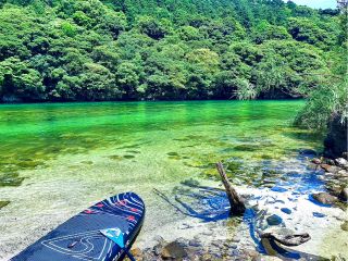 屋久島の大自然を川から味わえる♪人工の音が全くしない環境で川の流れに身を任せながらゆっくりSUP♪