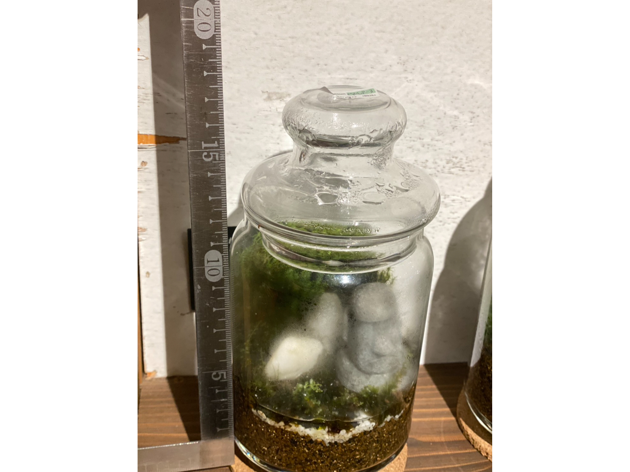 ����15~17�Z���`