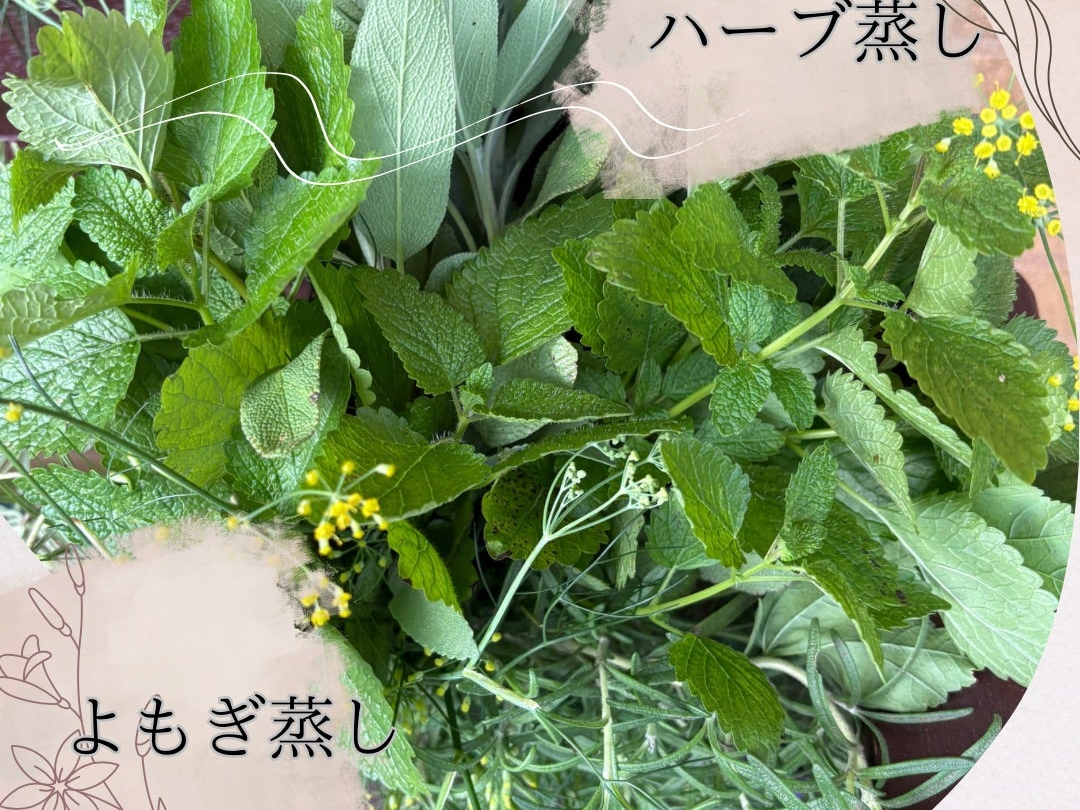 �k�C���Y������Ɩ��_��n�[�u���u�����h