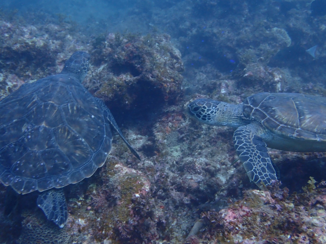 {̊C̓E~Kɍmŉ܂I