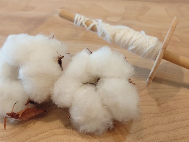 触っているだけで癒されるふわふわ無農薬コットン。障がい者と一緒に育てたこの綿で作ったアイピローでホットパックします。