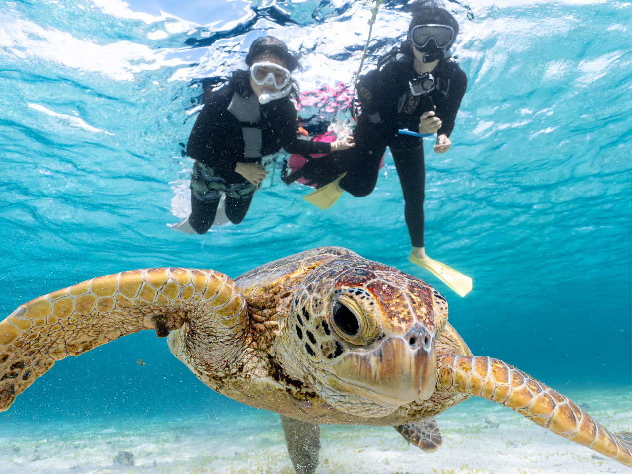 E~KƂ̋LOBe͓VbvɂCI