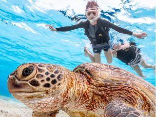 プロカメラマンによる撮影した写真はすべて無料プレゼント!