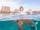 1歳半のお子様も浮き輪に乗ってウミガメを観察できます!