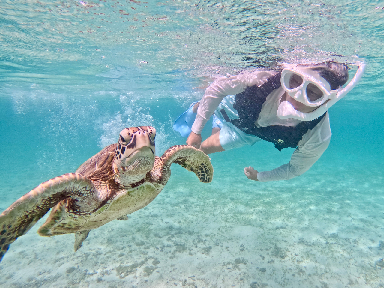 쐶̃E~KƂȂ߂ŉ܂I