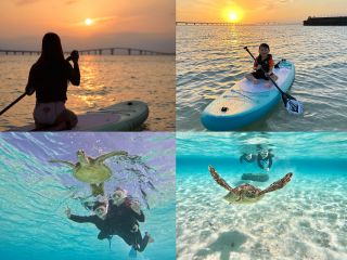 うわ?お!!タイミングが合えば、ウミガメとの顔上げ写真撮れちゃいます!