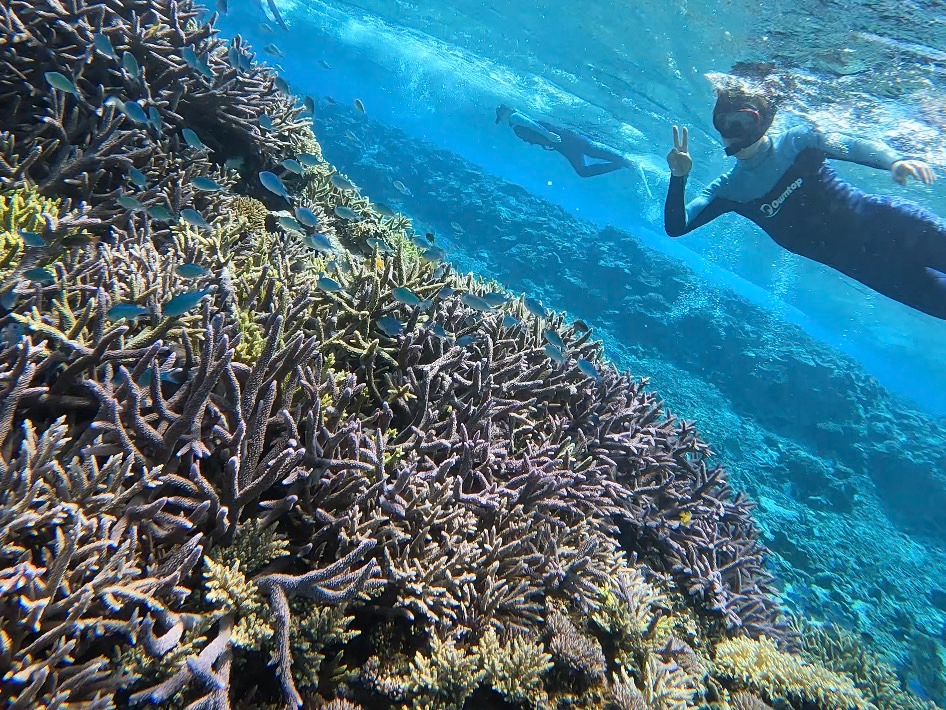 ̃TSɐЂЂƁBꂼ̊CIڂ̑OɍL܂B