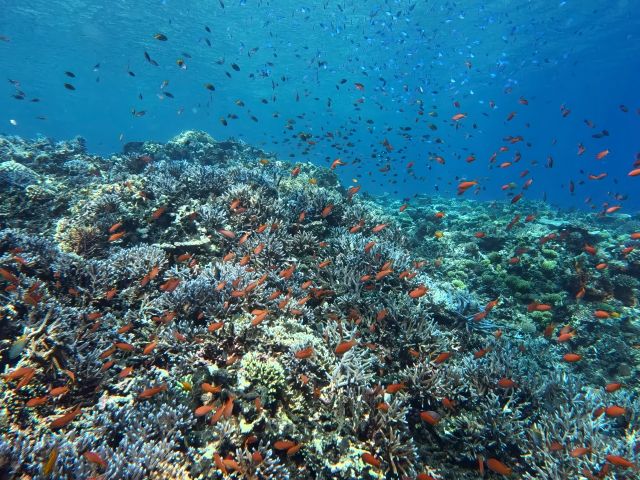 ガイドがGoProでお撮りする写真は、無料でプレゼント!