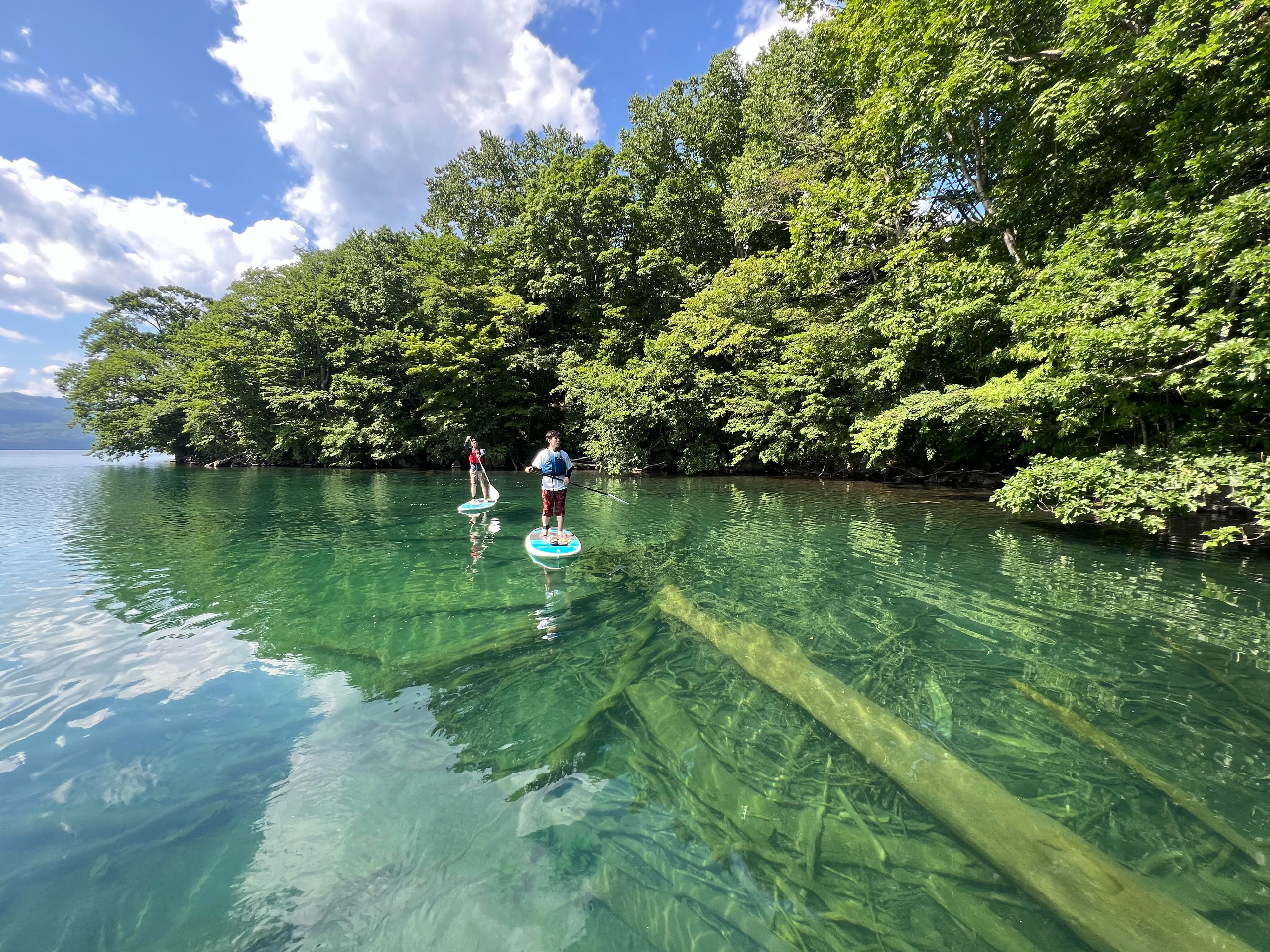 日本最大のカルデラ湖!自然豊かな屈斜路湖でSUPツアー体験★(約3時間)