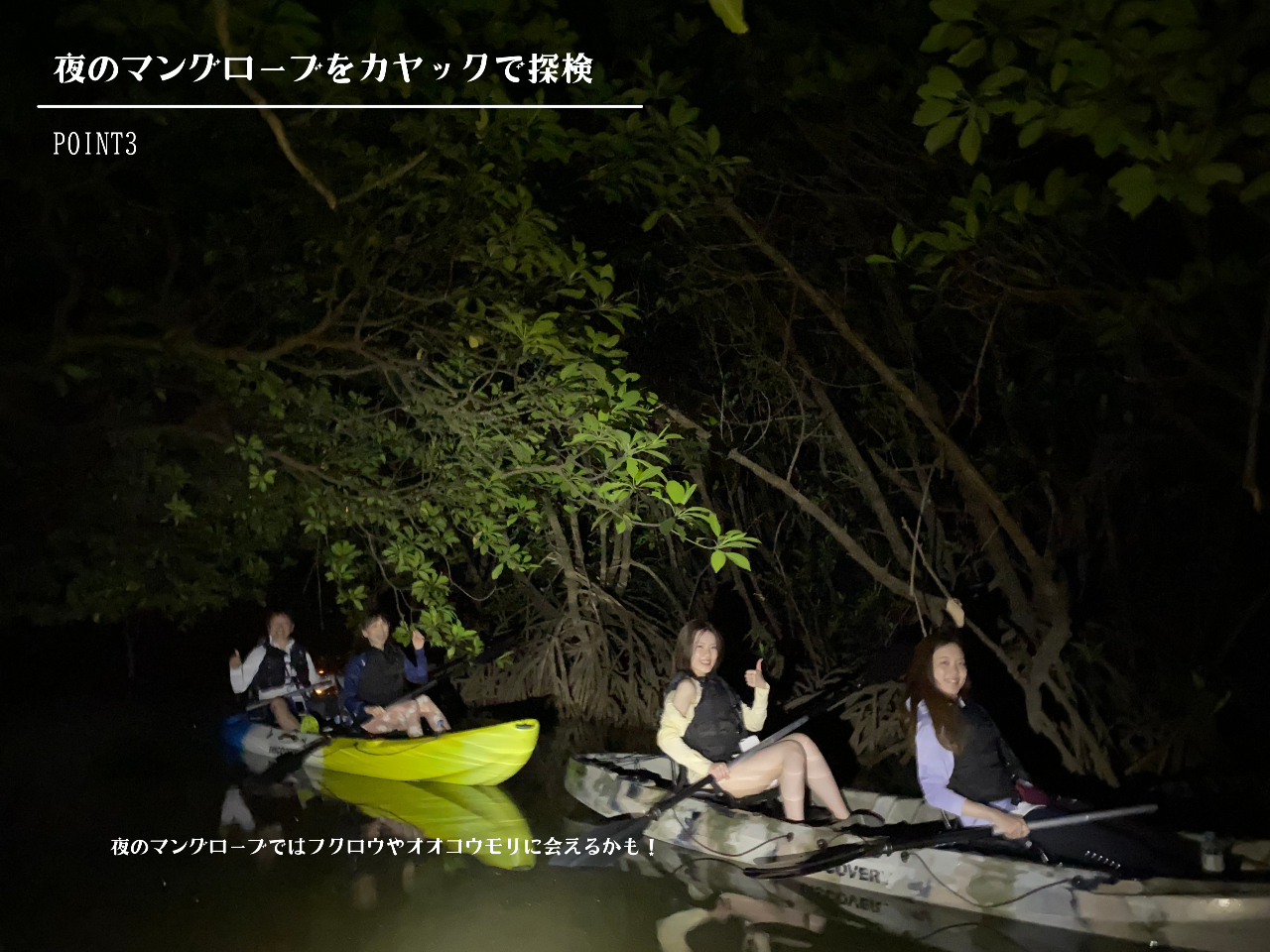 ��̃}���O���[�u�Ńi�C�g�J���b�N��