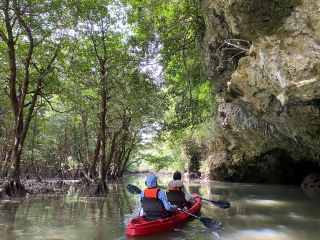 貸切マングローブカヤック