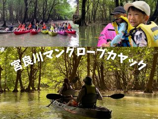 マングローブカヤック