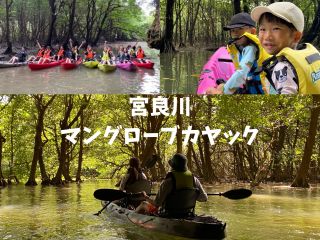 マングローブカヤック