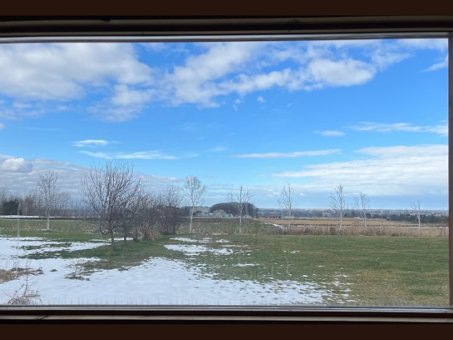 サウナの中からの景色