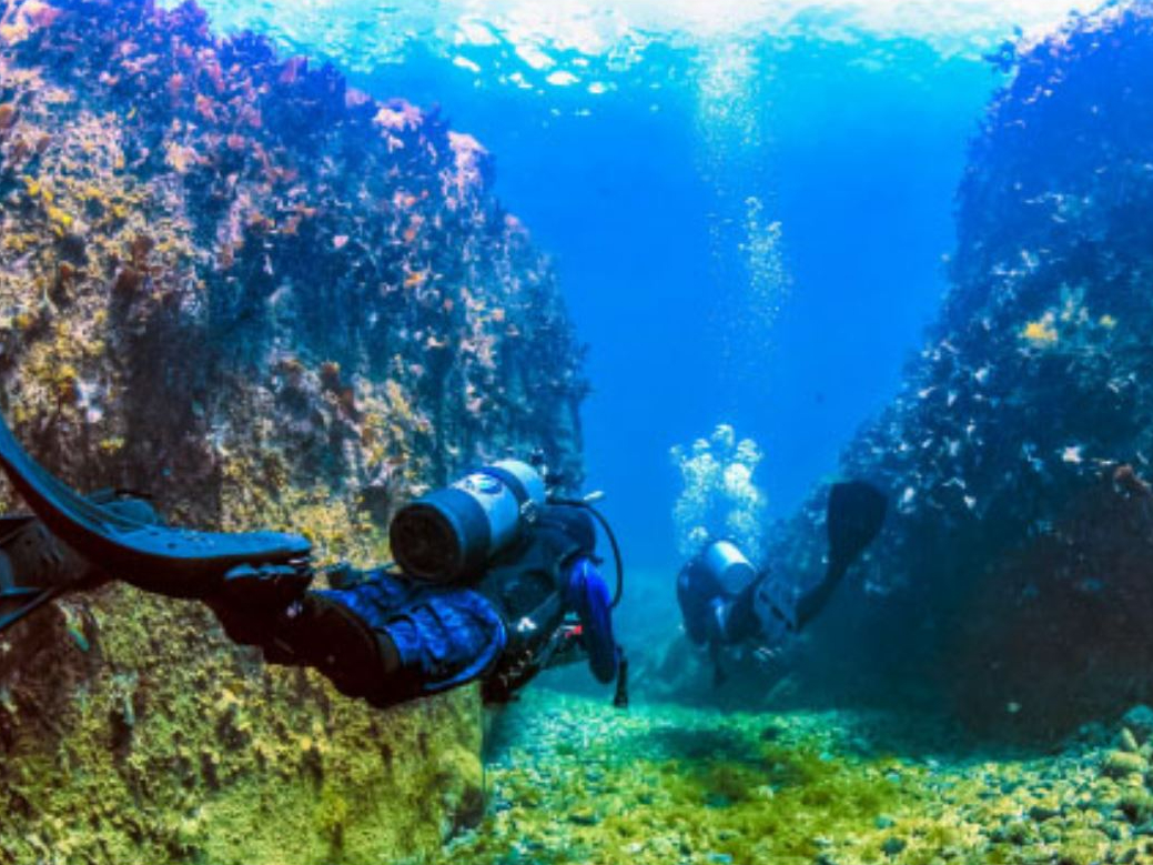 【2025年開催予定】体験ダイビング1DIVE/9時・13時集合/所要時間120...