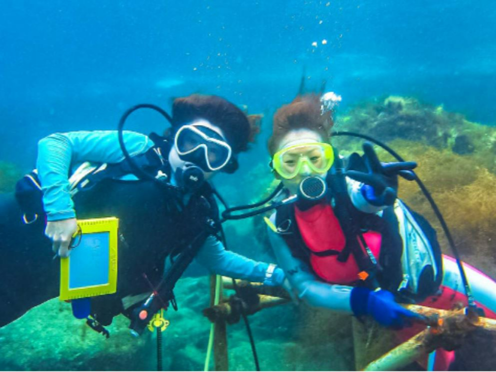 【2025年開催予定】体験ダイビング2DIVE/9・13時集合/所要時間180分...