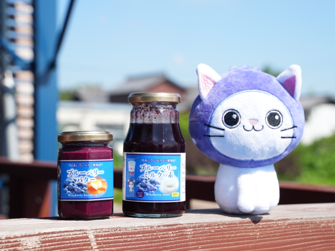 ☆令和7年 生ブルーベリー☆農薬不使用 にゃんちゅう ♪平日がお得♪／／【平日のご予約はこちら】美味しさを追求した