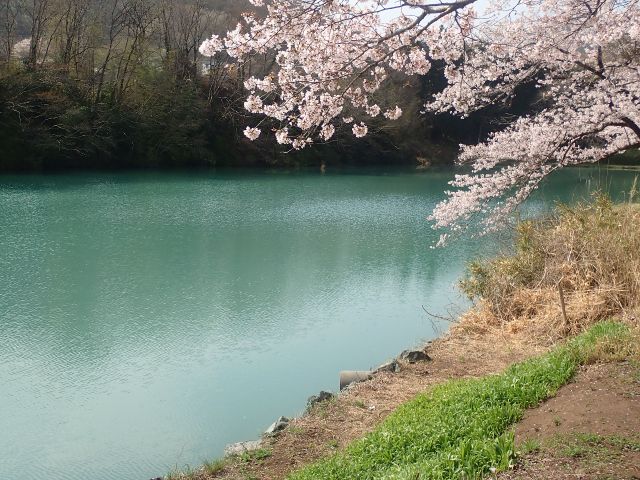 ネイチャー・ナビゲーター長瀞BASE:【埼玉・長瀞・レイクカヌー】5歳より参加OK!エメラルドグリーンの湖面のレイクカヌーツアー