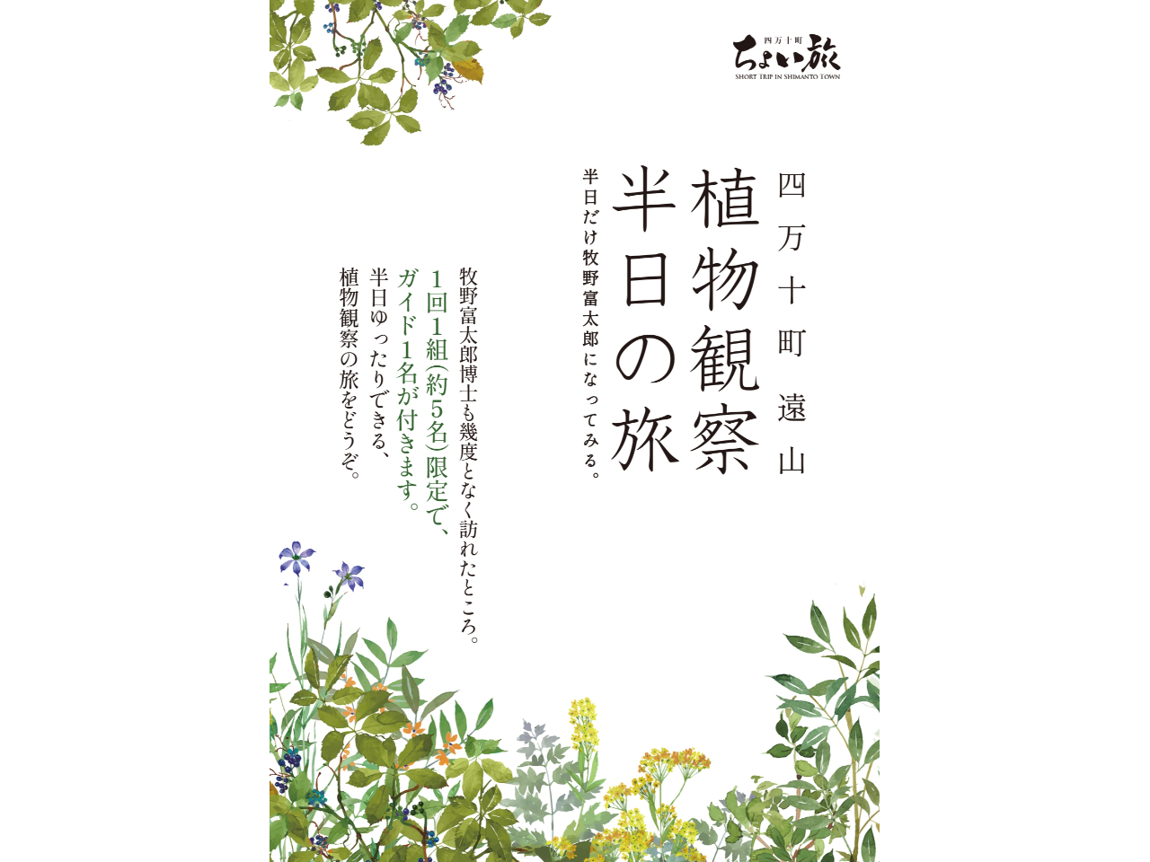 ツアーイメージポスター