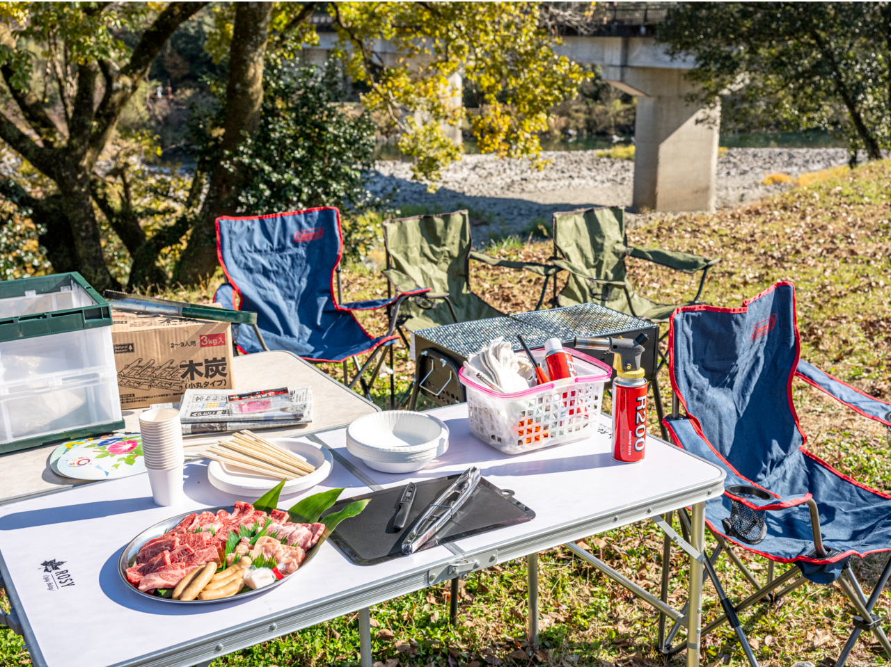 BBQRZbg^PiؒYE΍܁Eo[i[EgOEREMERbvE蔢ES~ܓj ȈՑgݗĎe[uE֎qiKvȏꍇj