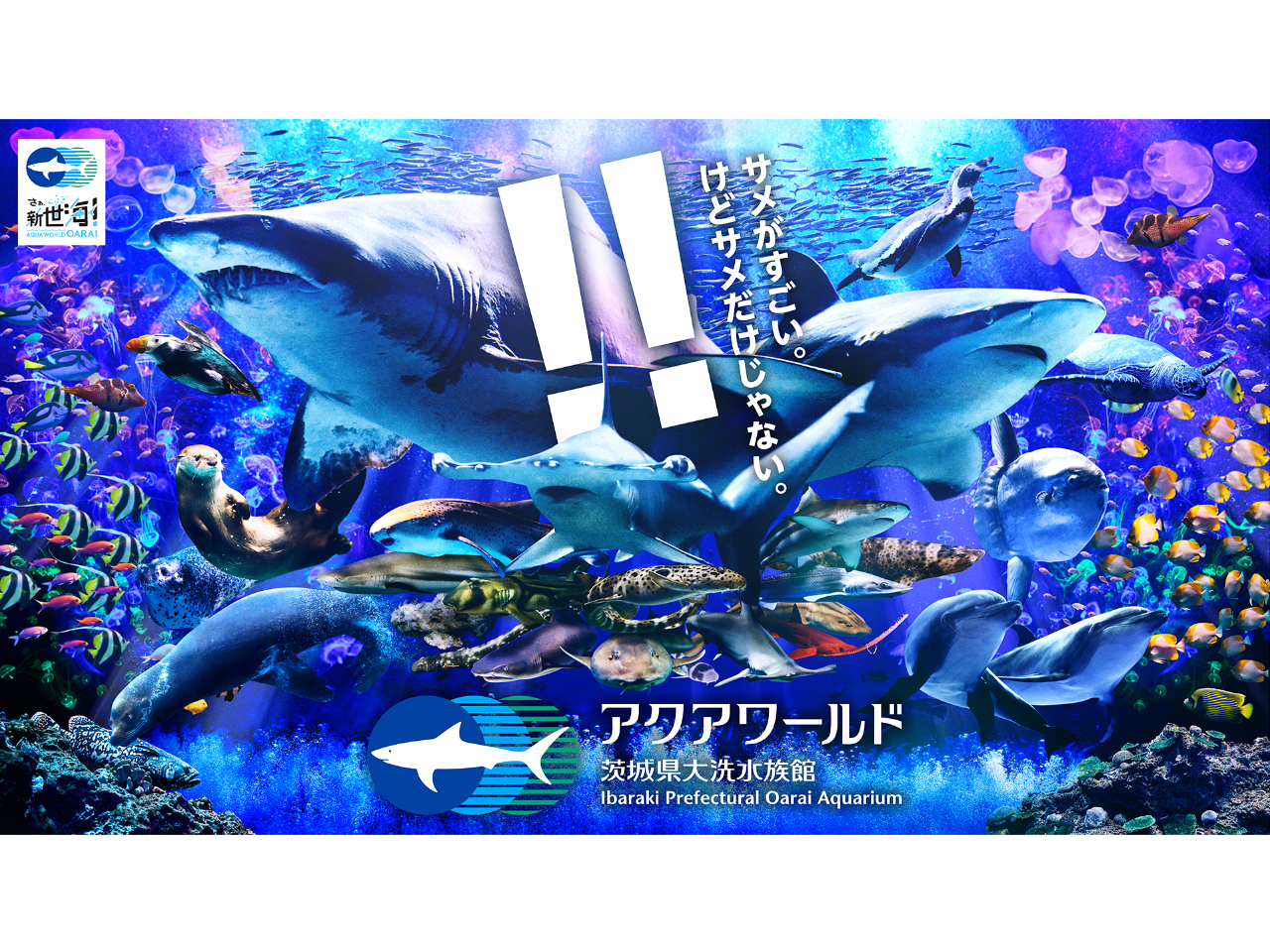 inashin様 アクアマリン♡レピドライト共生スフィア♡No.1392 inashin様 アクアマリン♡レピドライト共生スフィア♡No.1392 inashin