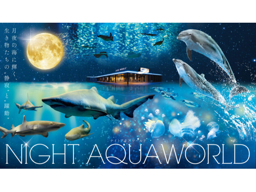 【映画館用両面ポスター】ライフ・アクアティック NIGHT AQUAWORLD】日時指定WEBチケット≪オンライン限定販売☆雨の日