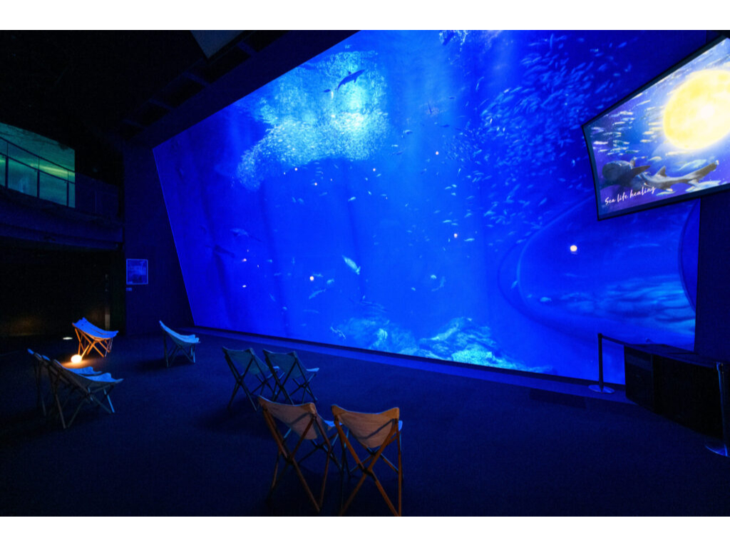 NIGHT AQUAWORLD】日時指定WEBチケット≪オンライン限定販売☆雨の日