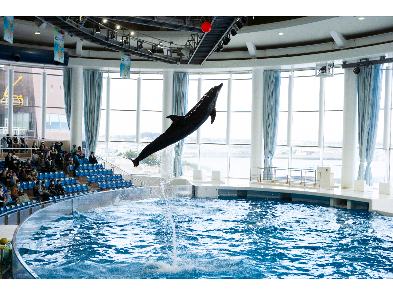  �����̃I�[�V�����V�A�^�[�ł́u�C���J�E�A�V�J�I�[�V�������C�u�v�𖈓��J�Â��Ă��܂��I