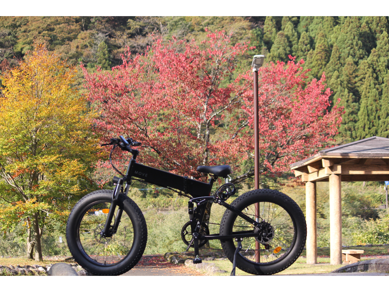 �g�t�̎������I�X�X��