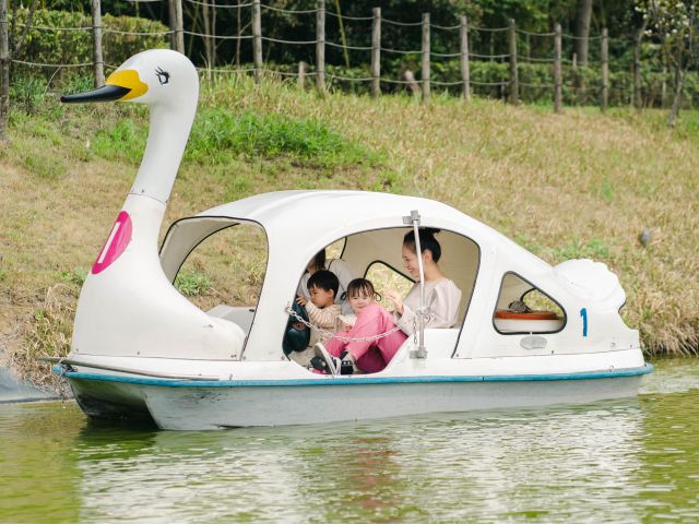 ボートに乗って池の上でのんびり