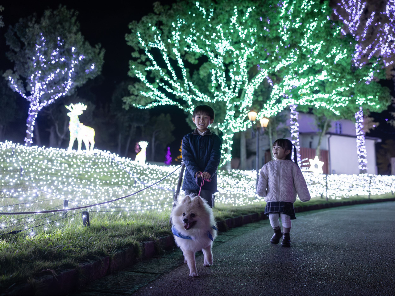 Ƃ̓OKiKvނȂǂ̗pK񂠂j