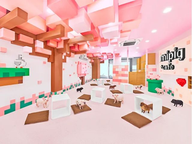 mipig cafe 原宿竹下通り店