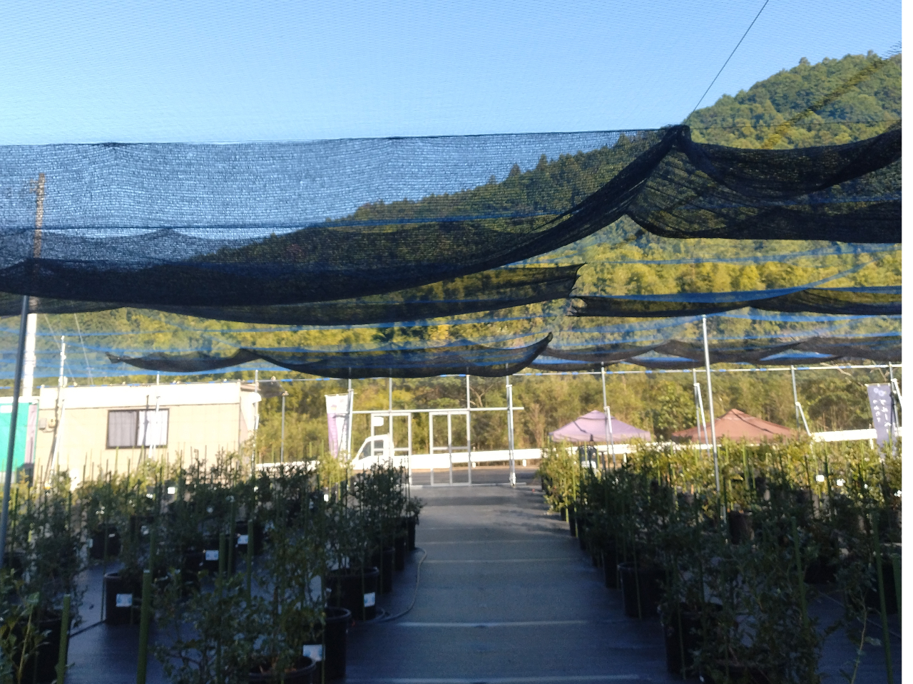 �Ռ��l�b�g�œ��A������ď����΍�����Ă���܂��B